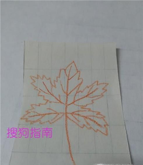 秋天树叶怎么画