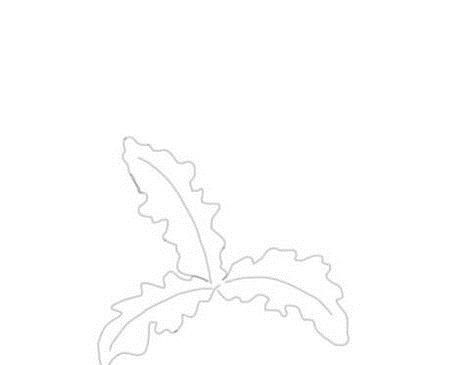 蒲公英的简笔画