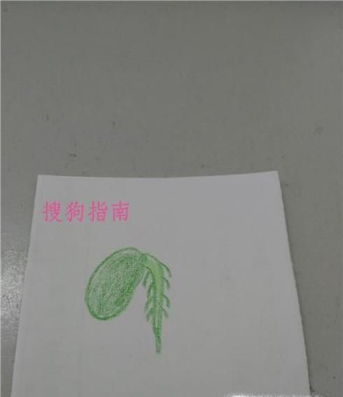 简笔画种子发芽了