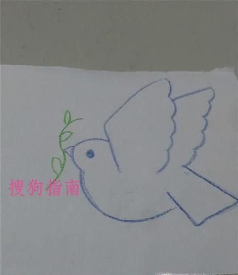 如何画和平鸽简笔画