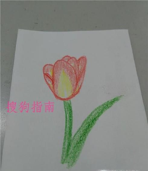 彩铅花卉手绘图片教程
