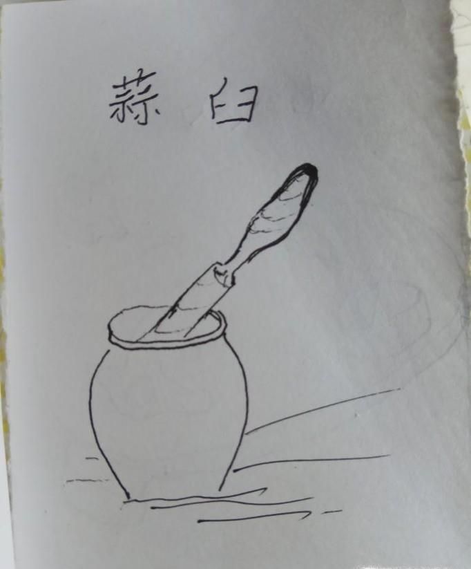 怎样画儿童简笔画蒜臼?