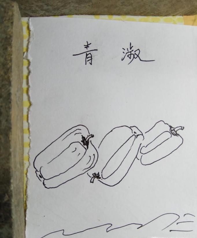 怎样画儿童简笔画青椒?