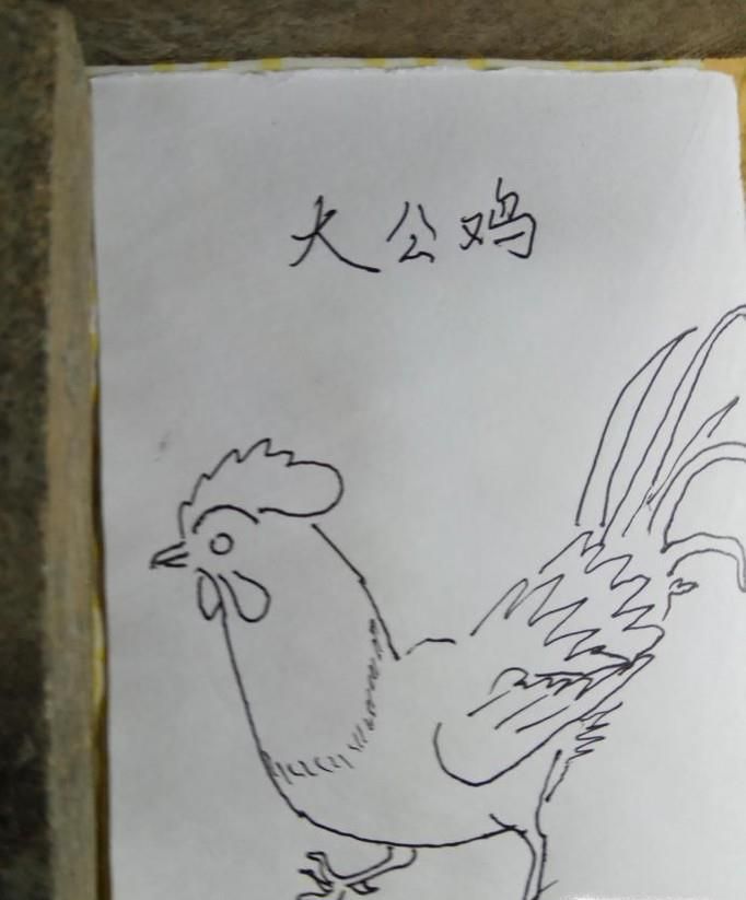 怎样画简笔画大公鸡?