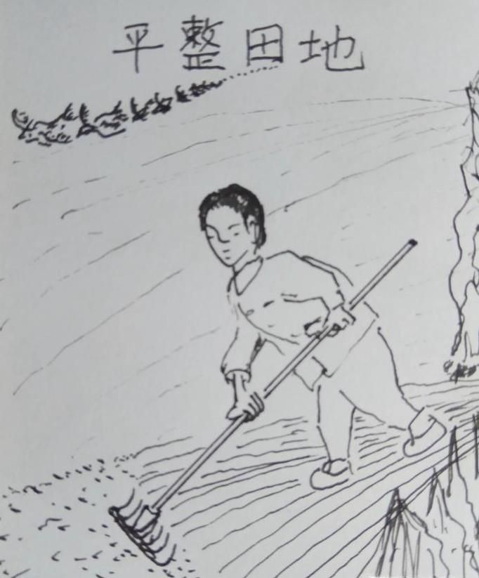 怎样画简笔画平整土地?