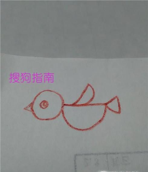 儿童简易画——可爱的小鸟