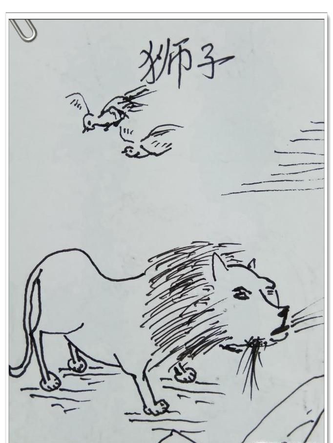 怎样用钢笔画狮子？