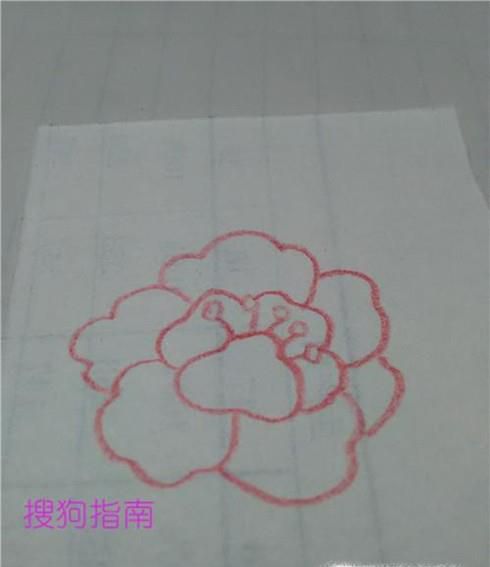 简笔画画牡丹花