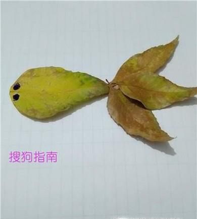 简单树叶贴画步骤