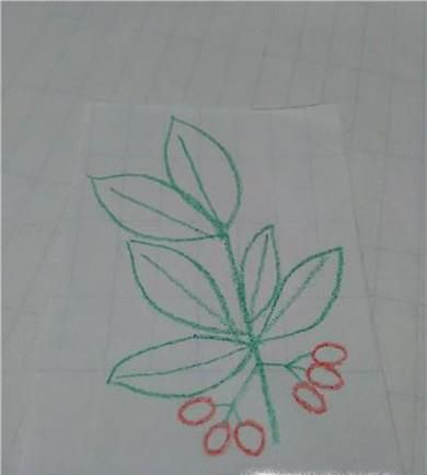 简笔画茱萸的画法