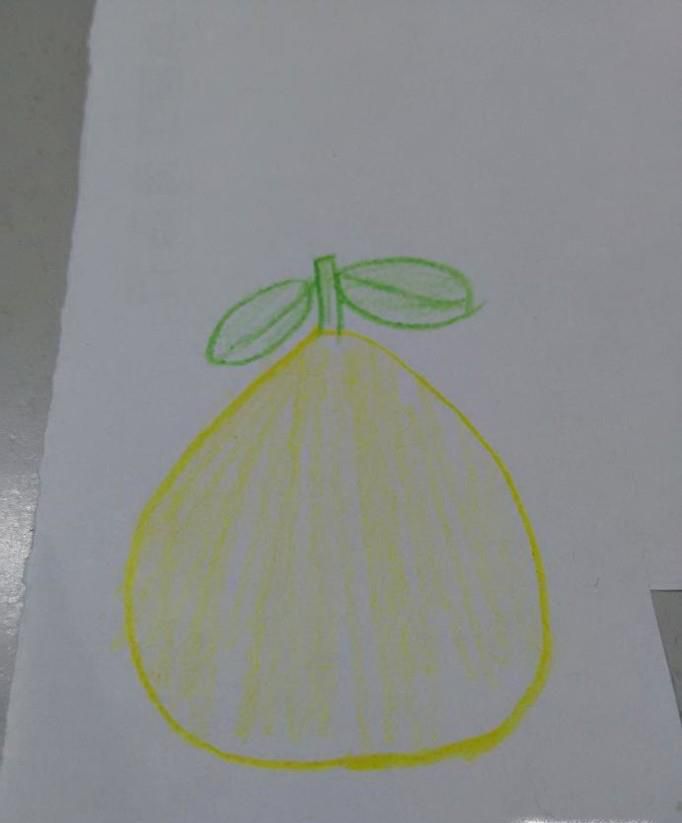 简笔画柚子怎么画