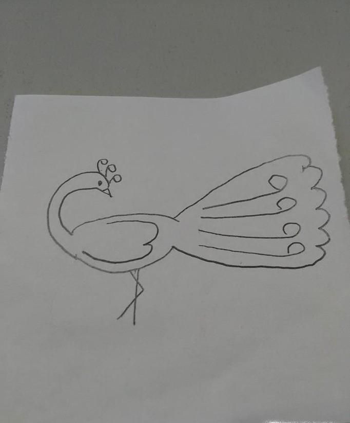 儿童简笔画:孔雀