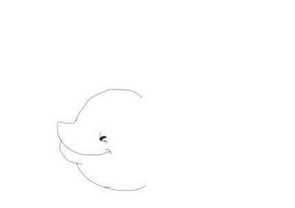 幼儿简笔画 动物:简单易画的鲸鱼