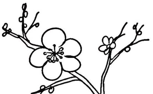 梅花怎么画?