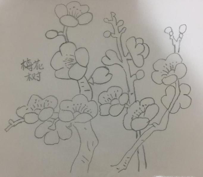 梅花树怎么画?