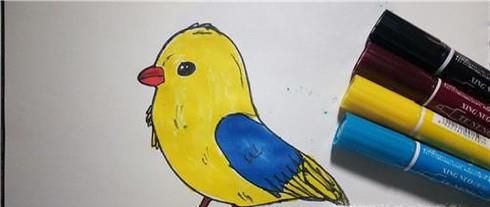 如何画简易的小鸟？