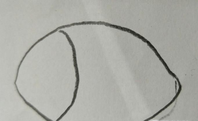 怎样画鱼，鱼的简笔画