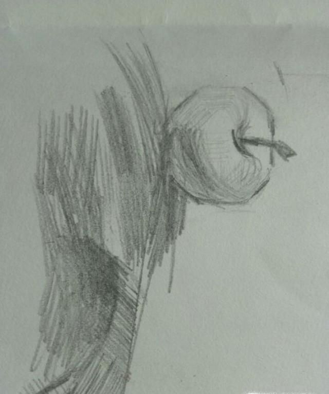 素描入门最基础教学