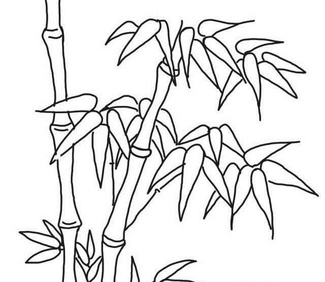 怎样画漂亮竹子