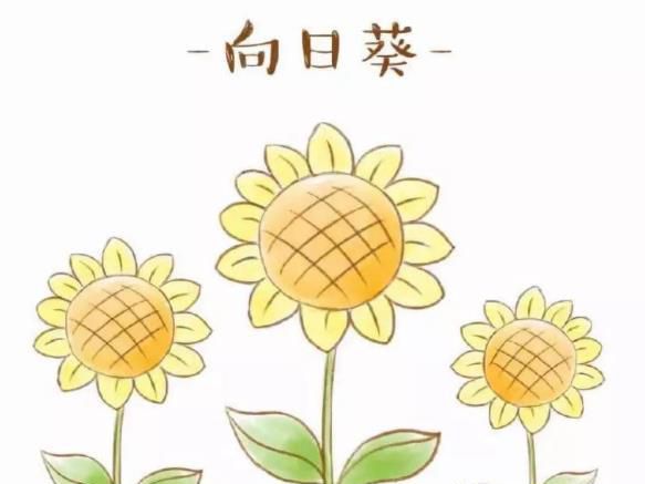 怎么画向日葵简笔画