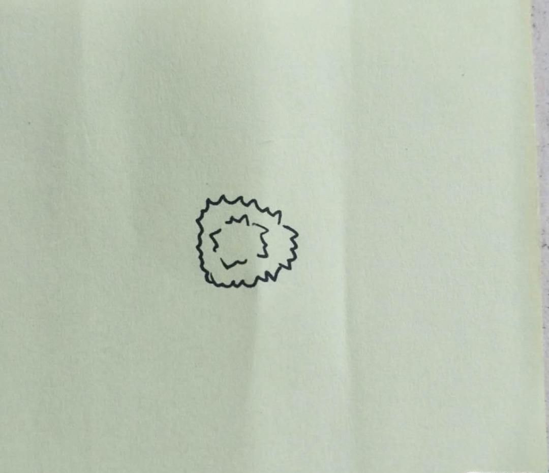 怎样画菊花的简笔画