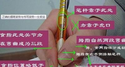 毛笔的正确握法