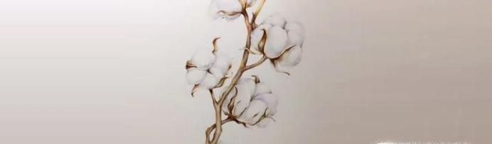 彩铅画入门教程步骤图