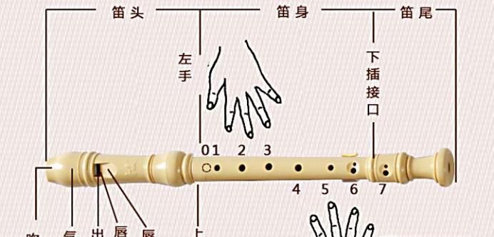 八孔竖笛教程