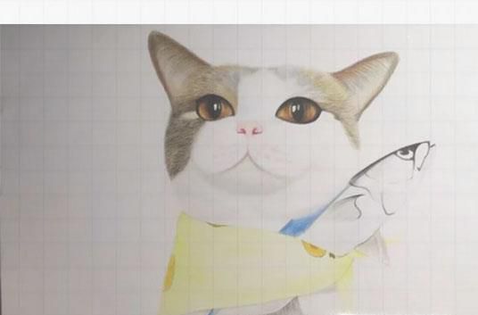 可爱的猫咪用格子本怎么画
