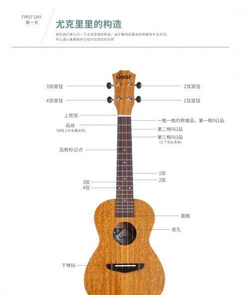 尤克里里入门零基础学习