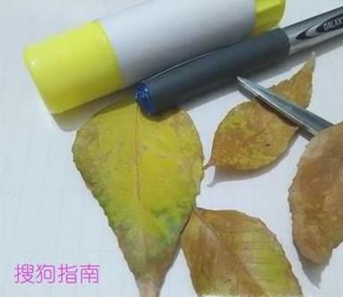 树叶贴画的制作!