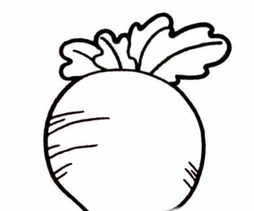 蔬菜简笔画
