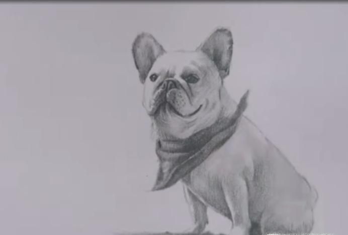 如何画狗素描画