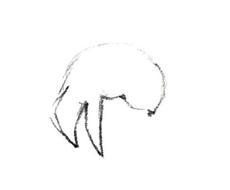 梅花13怎么手绘画
