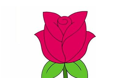 玫瑰花简笔画