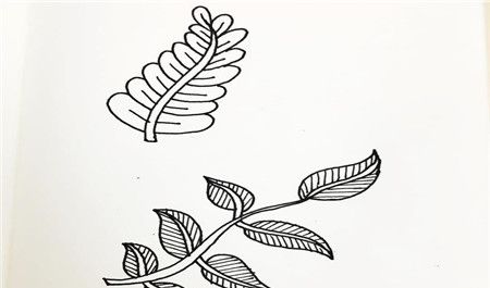 树叶简笔画
