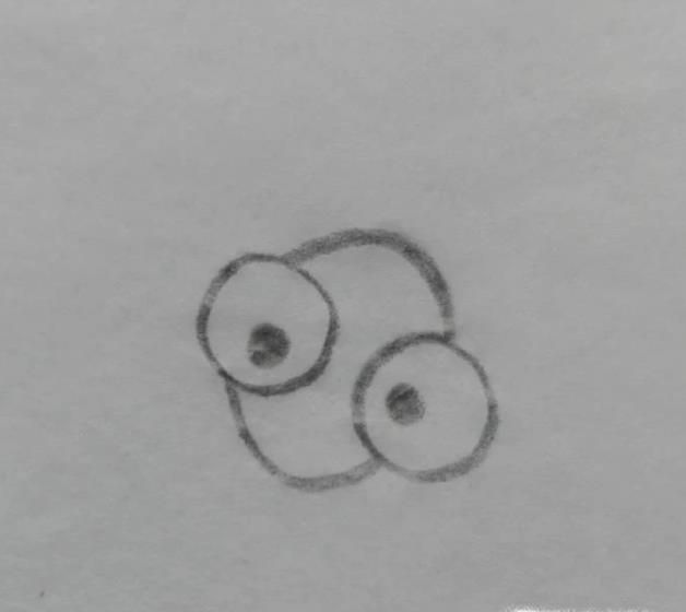 荷花与两只蜻蜓简笔画