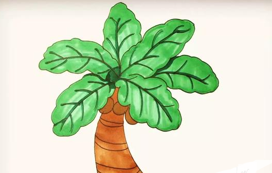 椰子树简笔画