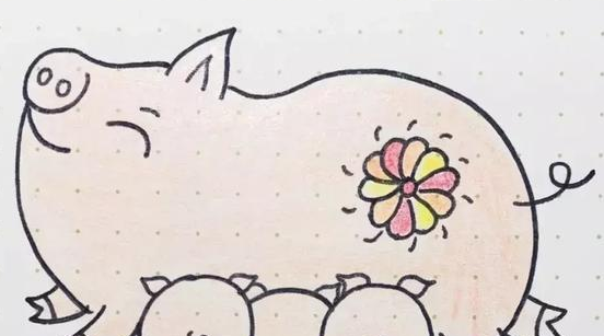 简笔画猪