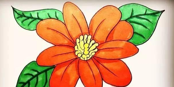 花朵简笔画