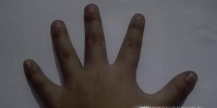 幼儿美工 10手型画