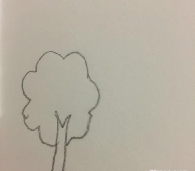 怎么画森林简笔画