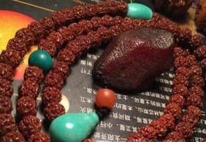 小金刚菩提怎么把玩