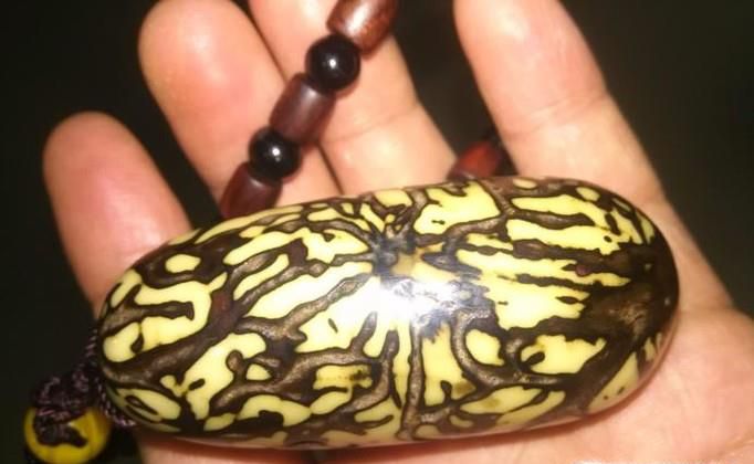 怎样打磨菩提子