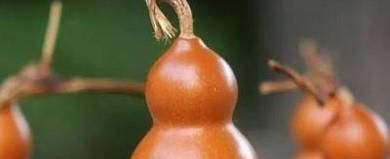 怎样盘葫芦?
