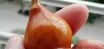 葫芦盘玩方法