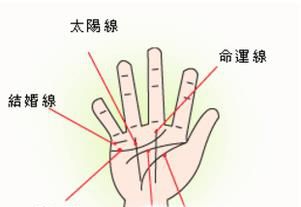 教你看手纹识手相