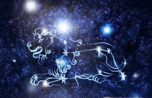射手座最配什么星座