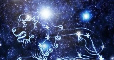狮子座和什么星座是最配的