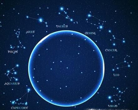 十二星座花及花语